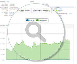 Bandwidth Monitoring