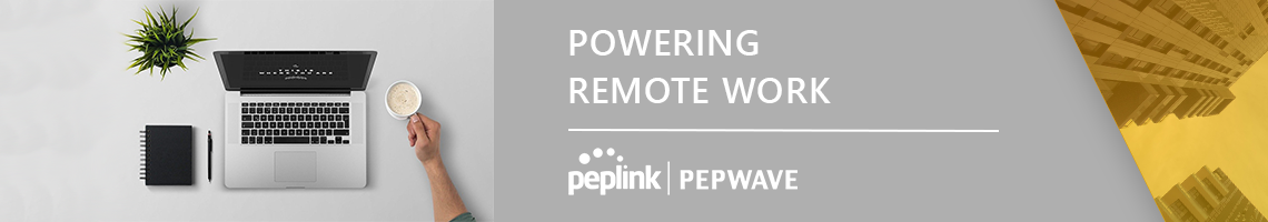 Peplink Remote Work